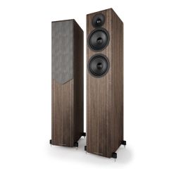 Acoustic Energy AE309²